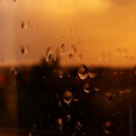 Raindrops