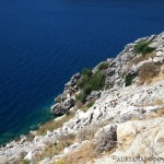 Seashore