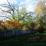 Autumn Assortment
