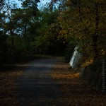 November Walk