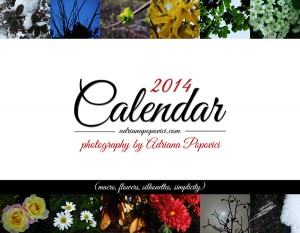 2014 Calendar by Adriana Popovici