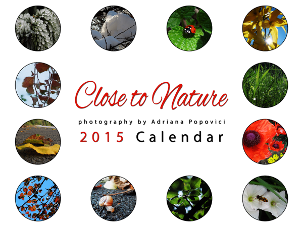 2015 Calendar by Adriana Popovici
