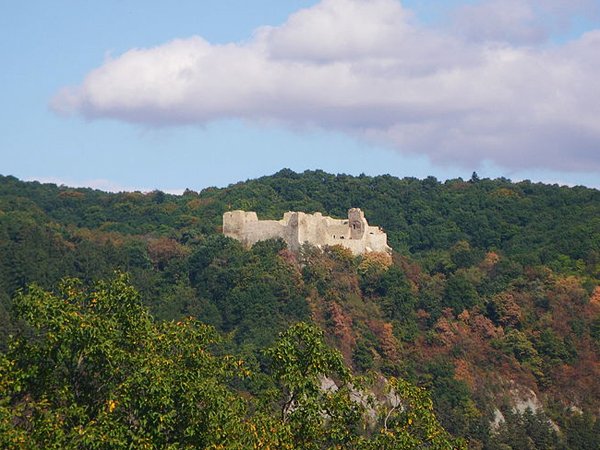 Neamt Citadel, Romania (Photo by Cristian Chirita, via Wikimedia Commons)