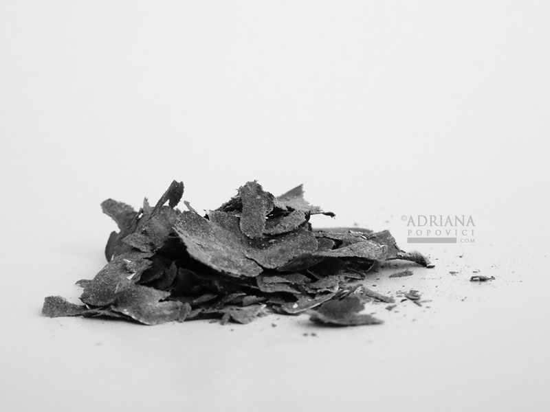 Ashes photo by Adriana Popovici