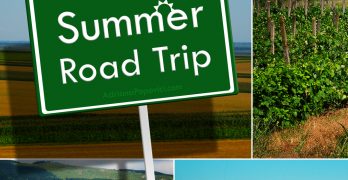 Summer Road Trip, a photo blog post by Adriana Popovici